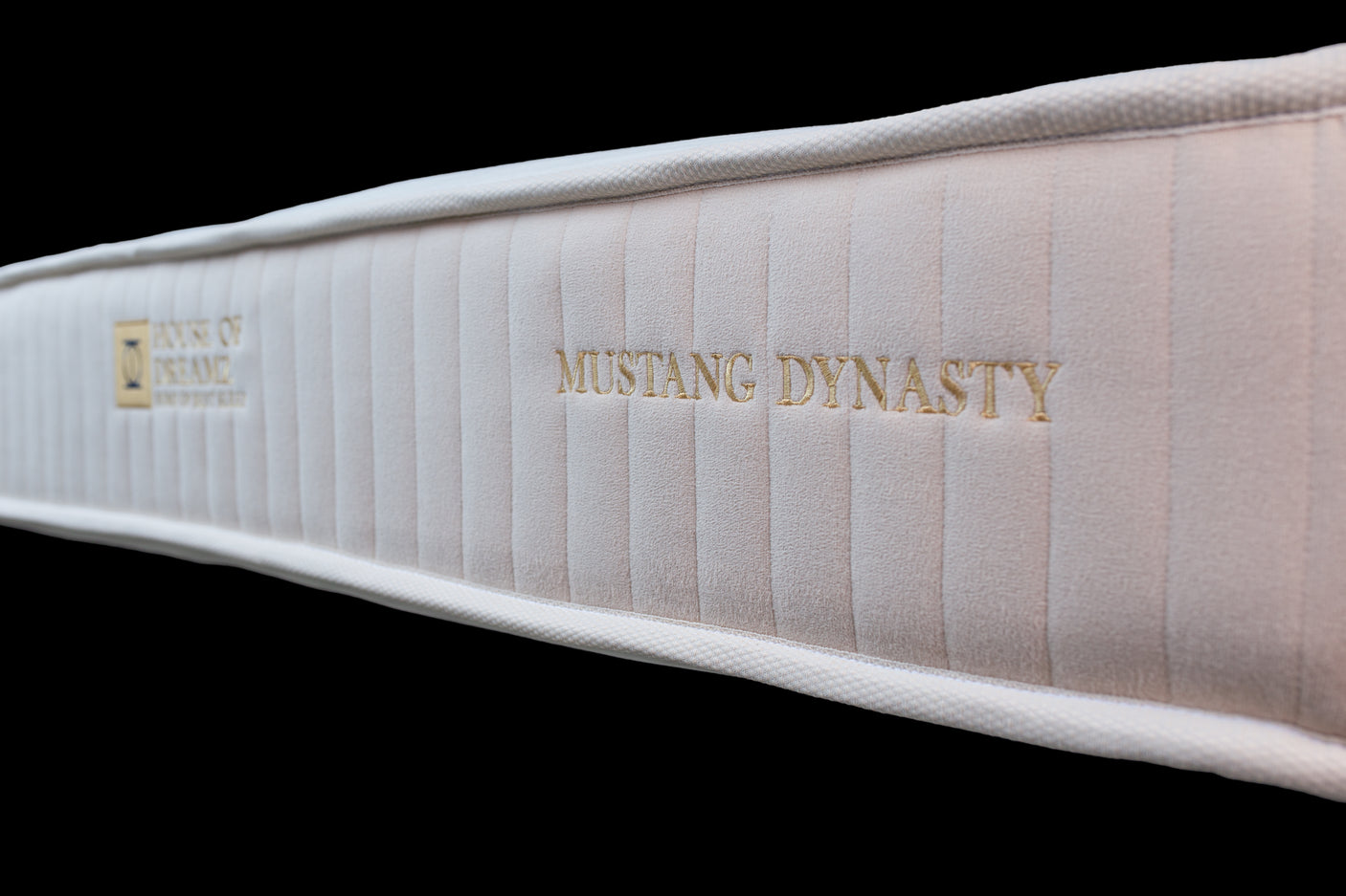 Nicht für jedermann - MUSTANG DYNASTY